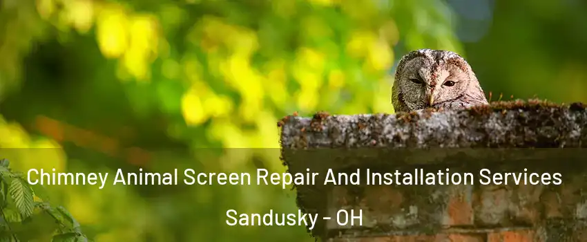  Chimney Animal Screen Repair And Installation Services Sandusky - OH