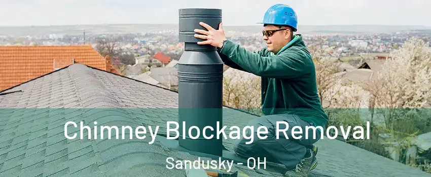  Chimney Blockage Removal Sandusky - OH