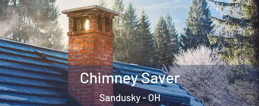 Chimney Saver Sandusky - OH
