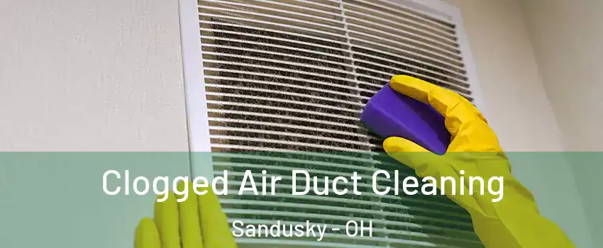  Clogged Air Duct Cleaning Sandusky - OH