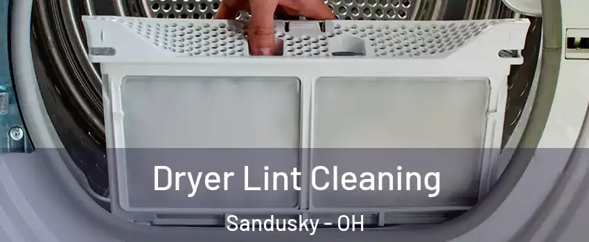  Dryer Lint Cleaning Sandusky - OH