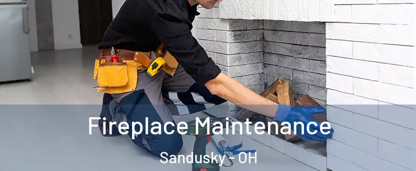  Fireplace Maintenance Sandusky - OH
