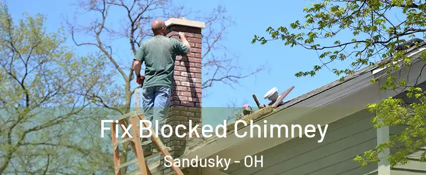 Fix Blocked Chimney Sandusky - OH