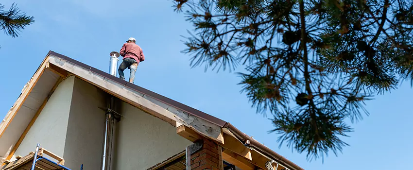 Birds Removal Contractors from Chimney in Sandusky, OH