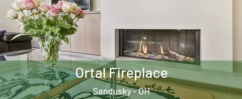 Ortal Fireplace Sandusky - OH